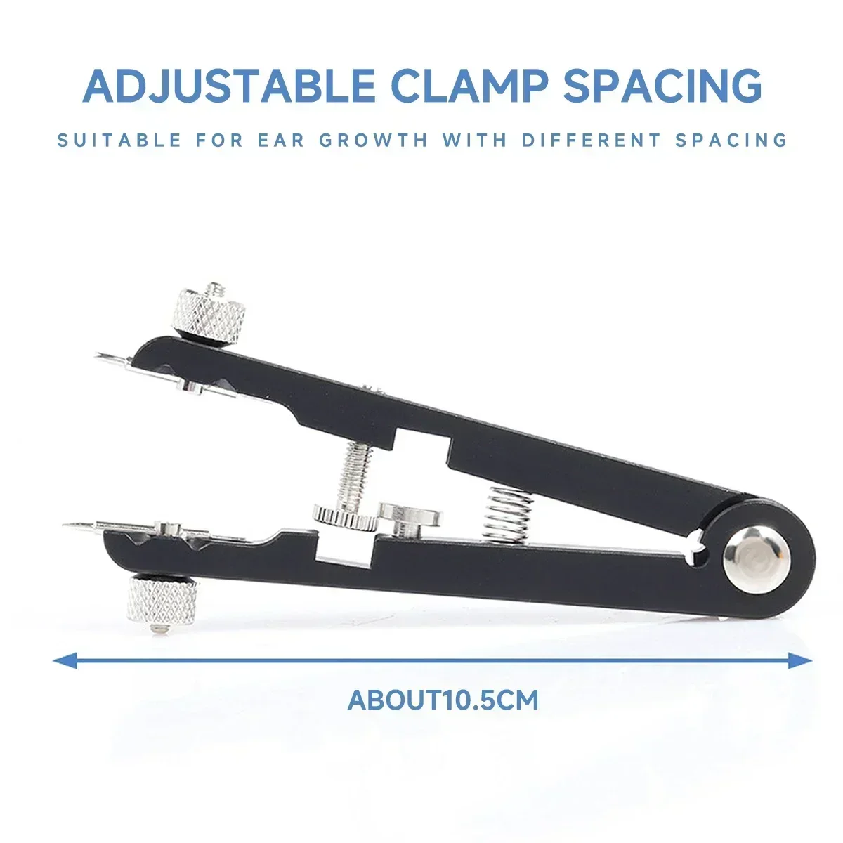 Apri del cinturino Sostituisci - Spring Bar Tool Set recensione e prezzo