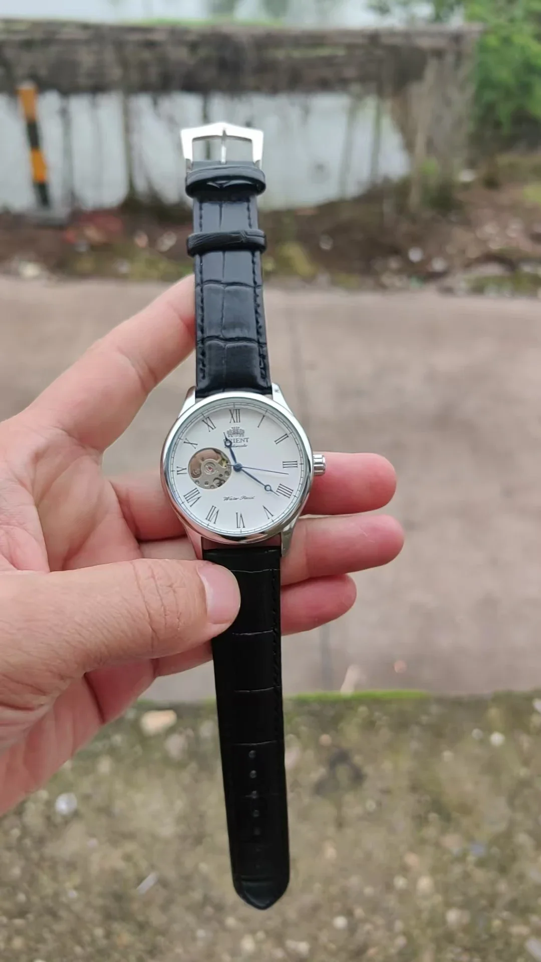 Orologio Scheletrato Meccanico - Seiko Watch Presage recensione e prezzo
